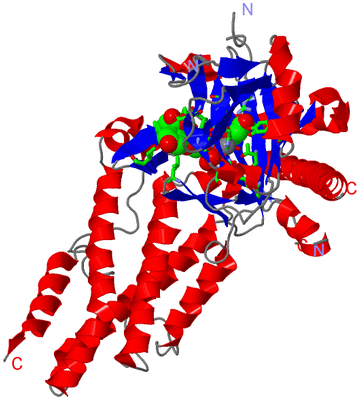 Image Asym./Biol. Unit - sites