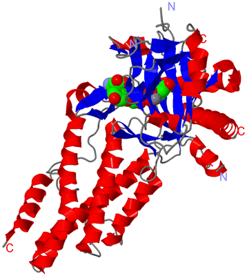 Image Asym./Biol. Unit