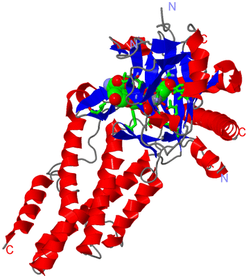 Image Asym./Biol. Unit - sites