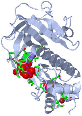 Image Biol. Unit 1 - sites