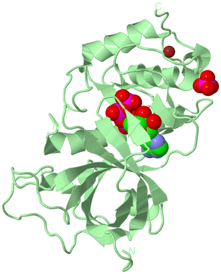 Image Biological Unit 2