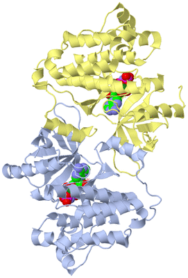 Image Biological Unit 1