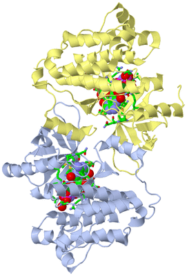 Image Biol. Unit 1 - sites