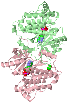 Image Biological Unit 2