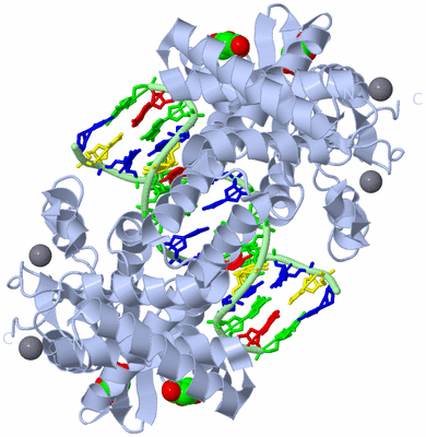 Image Biological Unit 1