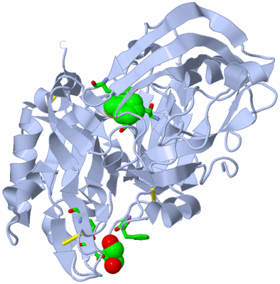 Image Biol. Unit 1 - sites