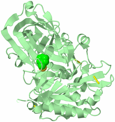 Image Biological Unit 2