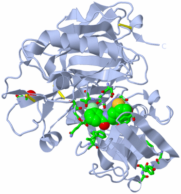 Image Biol. Unit 1 - sites