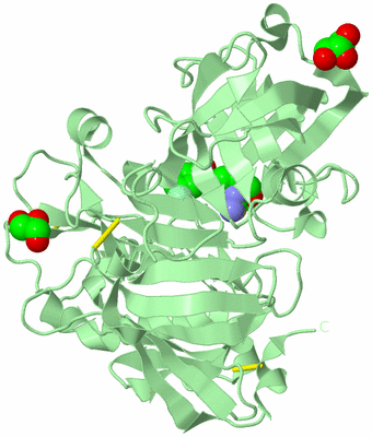 Image Biological Unit 2