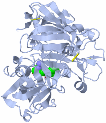 Image Biological Unit 1