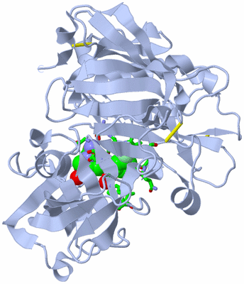 Image Biol. Unit 1 - sites