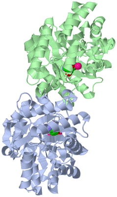 Image Asym./Biol. Unit