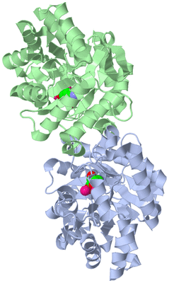 Image Asym./Biol. Unit