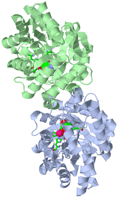 Image Asym./Biol. Unit - sites