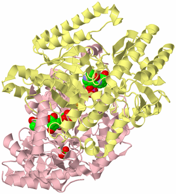 Image Biological Unit 2