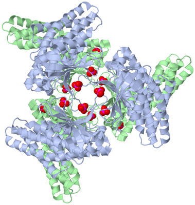 Image Biological Unit 1