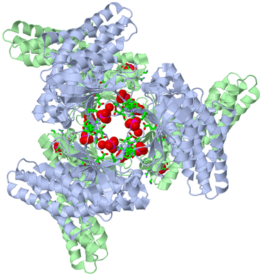 Image Biol. Unit 1 - sites