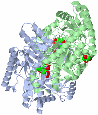 Image Biological Unit 1