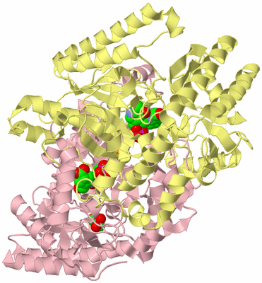 Image Biological Unit 2