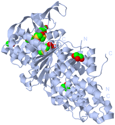 Image Biological Unit 1