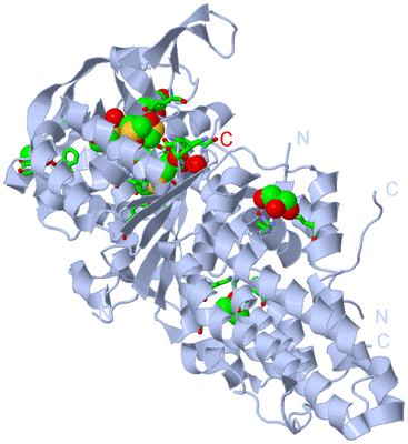 Image Biol. Unit 1 - sites