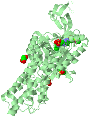 Image Biological Unit 2