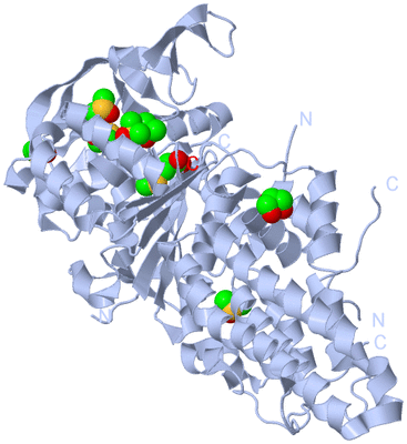 Image Biological Unit 1