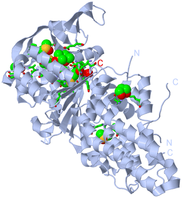 Image Biol. Unit 1 - sites