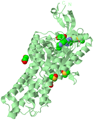 Image Biological Unit 2