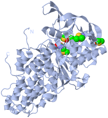 Image Biological Unit 1