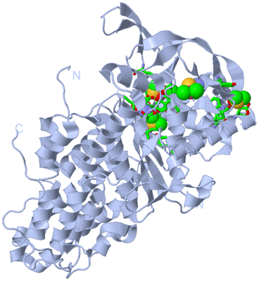 Image Biol. Unit 1 - sites