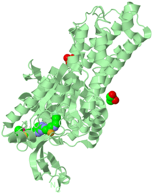 Image Biological Unit 2