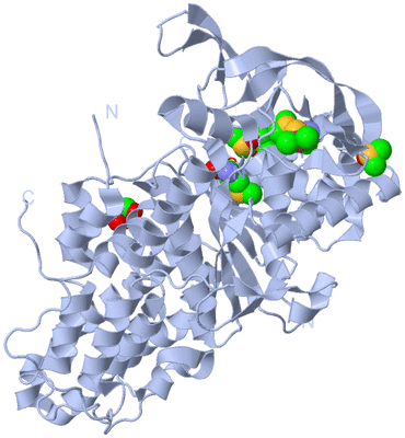 Image Biological Unit 1