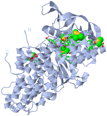 Image Biol. Unit 1 - sites