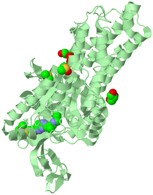 Image Biological Unit 2