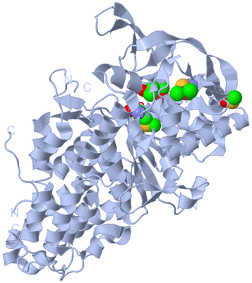 Image Biological Unit 1