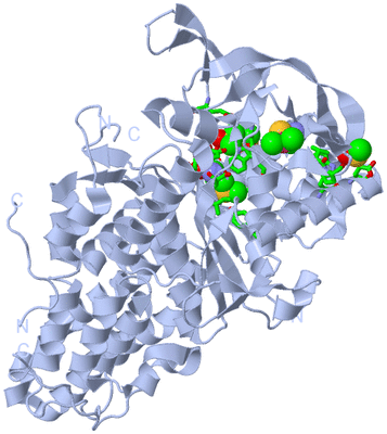 Image Biol. Unit 1 - sites