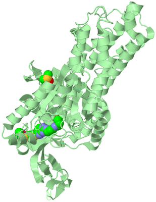 Image Biological Unit 2