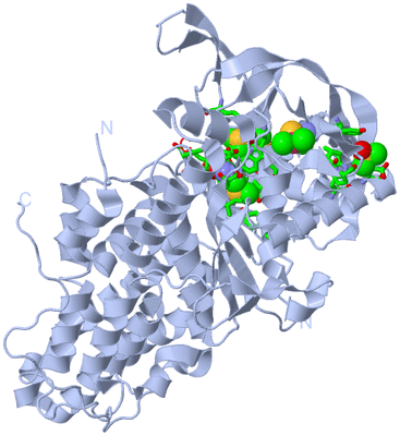 Image Biol. Unit 1 - sites