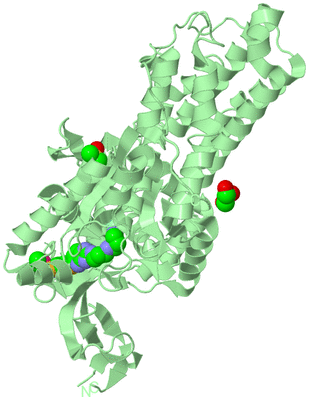 Image Biological Unit 2