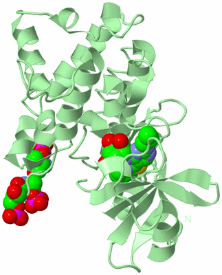 Image Biological Unit 2