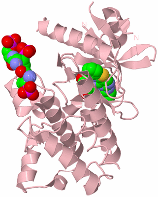 Image Biological Unit 3