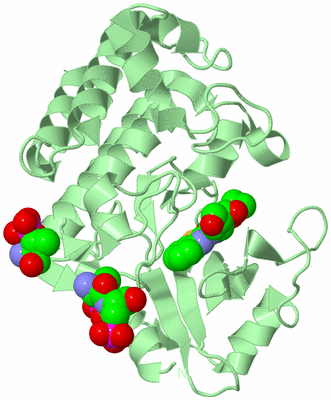 Image Biological Unit 2