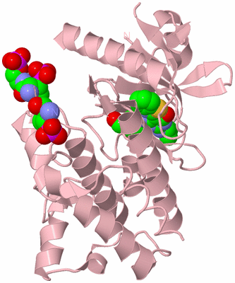 Image Biological Unit 3