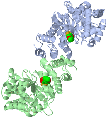 Image Asym./Biol. Unit