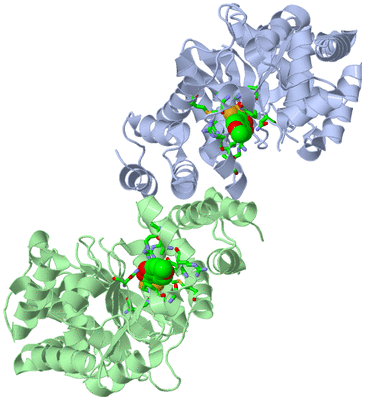 Image Asym./Biol. Unit - sites