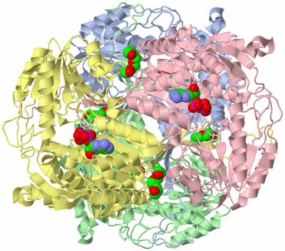 Image Biological Unit 1