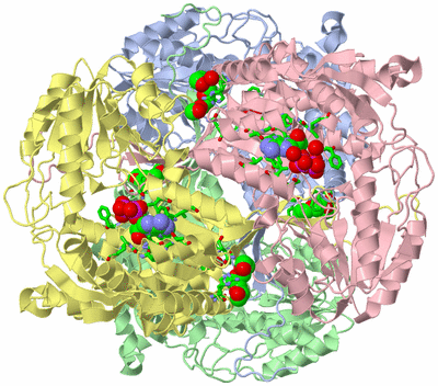 Image Biol. Unit 1 - sites