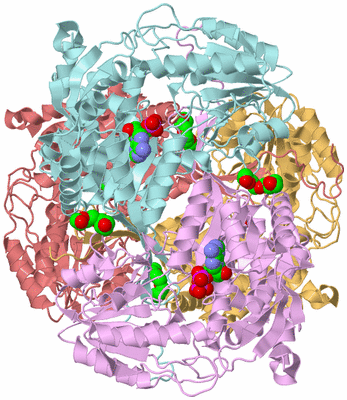 Image Biological Unit 2