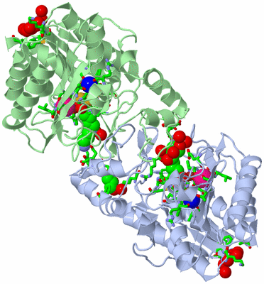 Image Asym./Biol. Unit - sites